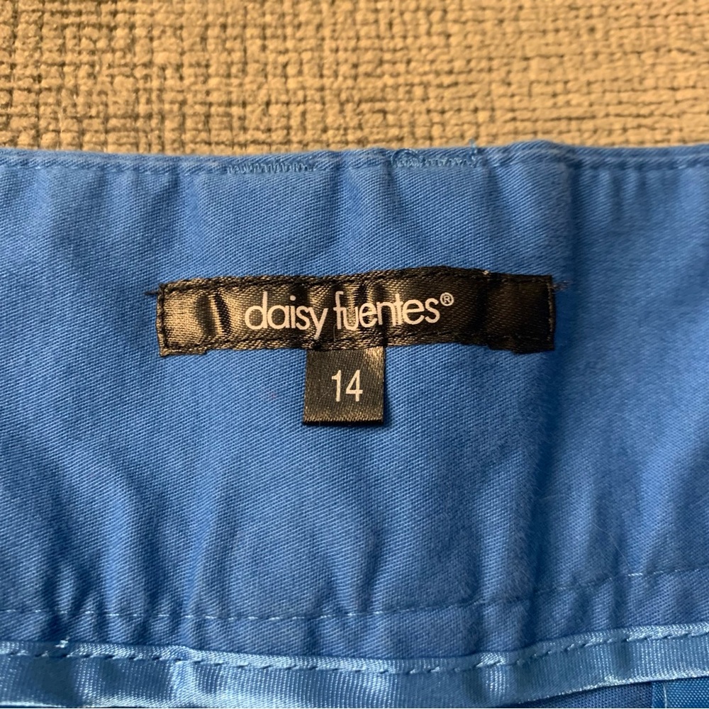 Blue Shorts - Picture 4 of 4